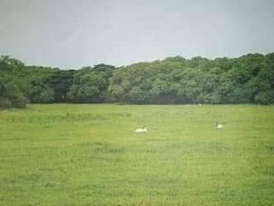Agricultural land for Sale good for poultry or piggery or farming