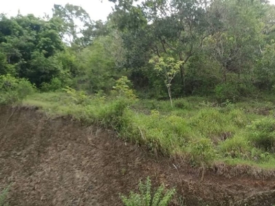 Agricultural Land for sale in Talayong, Lazi, Siquijor