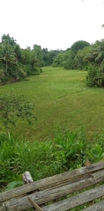 Agricultural Land For Sale located at Brgy. Pinamalatican, Sigma Capiz