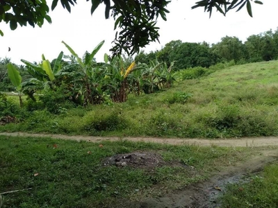 Agricultural Land in Batangas City