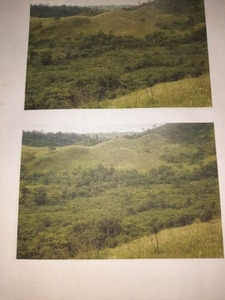 Agricultural Lot - 159 Hectares.