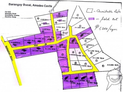Agricultural Lot For Sale at Amadeo, Cavite