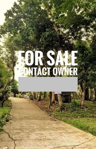 Agricultural Lot for Sale in Anahao, Odiongan, Romblon