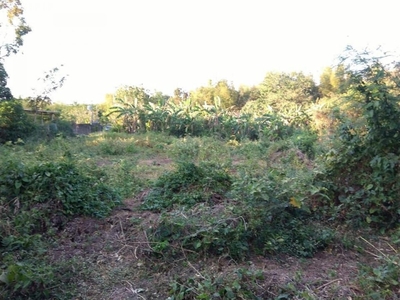 Agricultural lot For Sale in Brgy. Bukal Taysan, Batangas