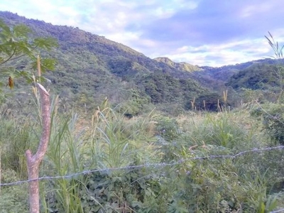 Agricultural Lot for sale in Sitio Ibucao, Brgy. Laiban Tanay, Rizal
