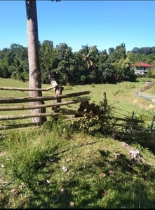 agricultural lot for sale, Poblacion, Sablan, Benguet