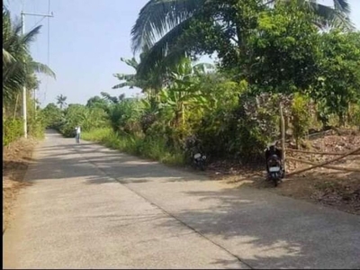 Agricultural Lot in Cavite