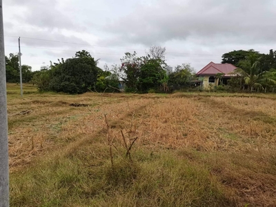 Agricultural or Residential Lot For Sale in Batiarao, Anda, Pangasinan