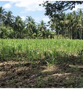 agricultural or residential Property in Lunang leyte