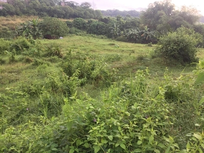 Agricultural Vacant Lot for Sale in CayPombo, Santa Maria, Bulacan