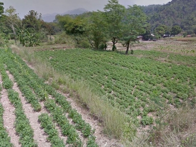 Agriculture/Commercial land for sale Lloren Tubao, La Union