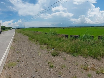 Agriculture/Commercial Lot along Eco-Tourism Road. Bignay 1, Sariaya,Quezon