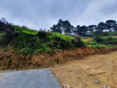 Ambayao Road, Purok 2 Irisan Baguio City Clean Titled Lot For Sale