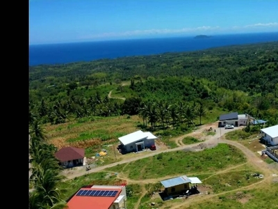 Apo Island view residential lot for sale