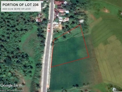 AROUND 4400 TO 4480 +/- SQ. M NON IRRIGATED LOT (PORTION ONLY) ALONG NATL. ROAD