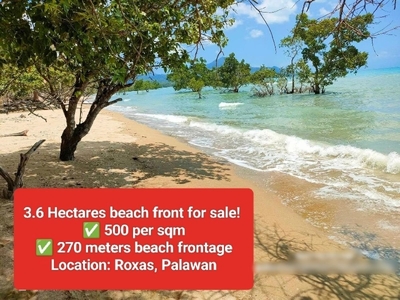 Beach Front For Sale In Palawan 270 Meters Beach Frontage!