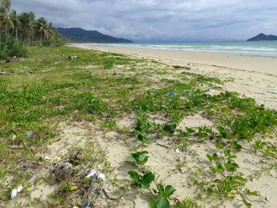 beach front located in san vicente palawan