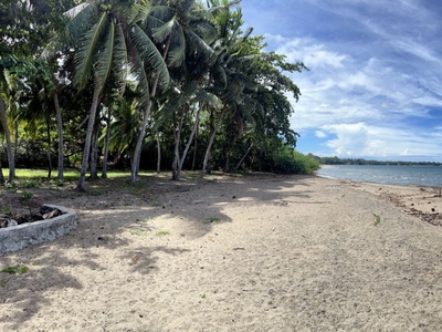 Beach front lot for sale Dumaguete, Dauin, Zamboanguita