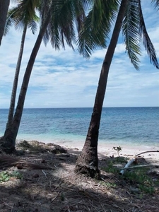 beach front lot for sale in Siaton Negros Oriental