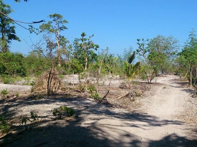 Beach front lot property for sale in Apatot, San Esteban, Ilocos Sur