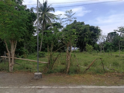 Beach Front Lot Seaside for sale at Bansud, Oriental Mindoro