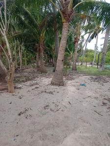 Beach Lot For Sale in Sitio San Roque, Baod, Bantayan Island