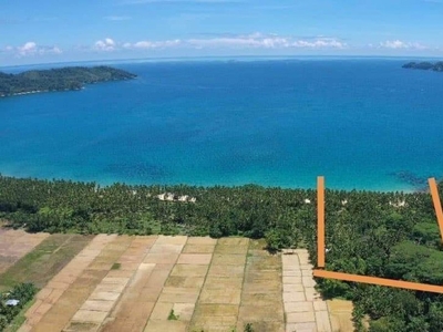 Beach Lot for Sale (Puerto Princesa City, Palawan)