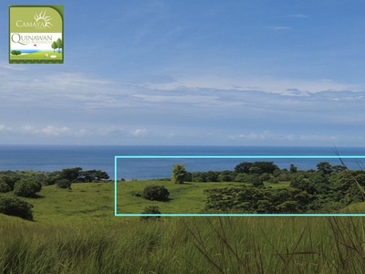 Beach Property - Residential lot for sale in Quinawan, Bagac, Bataan