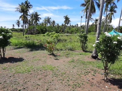 Beachfront with existing livestock farm and coconut trees