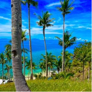 Beautiful Beach Property For Sale in San Juan, San Jose, Dinagat Islands