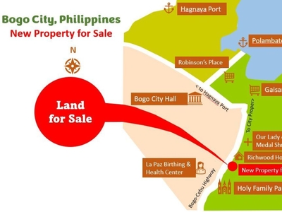 Beautiful Overlooking Property for Sale 4.2 Hectares in LaPaz, Bogo City, Phils