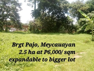 For sale Meycauayan, Bulacan for light heavy industrial only 3,600/ sqm 2.5 has.