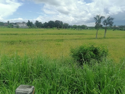 Bustos Bypass Road Lot for Sale 2.2 Has 6,500 per sqm