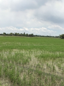 Calumpit, Bulacan Farm Land for Sale