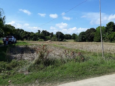 can be a Farm or Residential property in Batiarao, Anda, Pangasinan