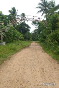 CATAGMAN PRO RESIDENTIAL LOT 150SQ.M P94,500 W CLEAN TITLE LOT AT SAMAL CITY