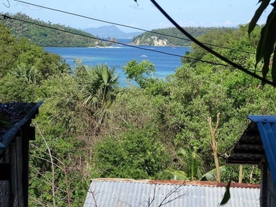 cheap lot for sale in puerto galera