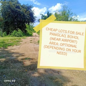 Cheap Residential Land at Panglao, Bohol