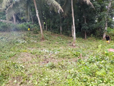 Cheap Residential Residential Lot for Sale in Tagbilaran City