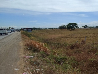 Clean title Agricultural lot for sale in Capihan, San Rafael, Bulacan