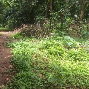 clean title agricultural lot in Sampaloc, Tanay, Rizal for sale