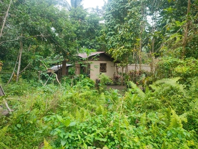 Clean Title, Beautiful Land For Sale in Liptong, Valencia, Negros Oriental