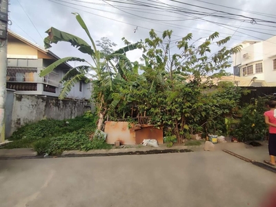 clean title lot only st francis 9 binan national highway
