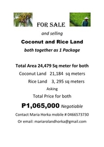 Coconut and Rice Land combined (2 in 1 package)