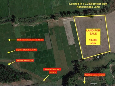 Commercial Agriland Lot For Sale 10,000 Sqm Mabalacat Pampanga Philippines
