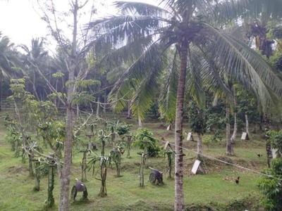 Commercial and farmlot for sale at Manangle, Sipocot, Camarines Sur