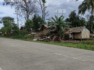 Commercial Lot 150sqm along National Highway San Isidro, Naga, ZSP