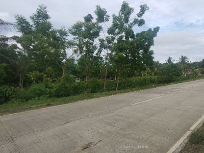 Commercial lot/along the road lot Infront of Gregorio beach resort for sale