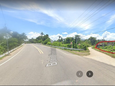 Commercial Lot for Rush Sale! 1,120sqm Along National Highway Talibon, Bohol