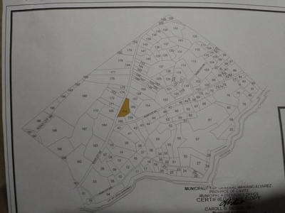 Commercial Lot for Sale 3,147 sqm at Brgy Elises GMA, Cavite